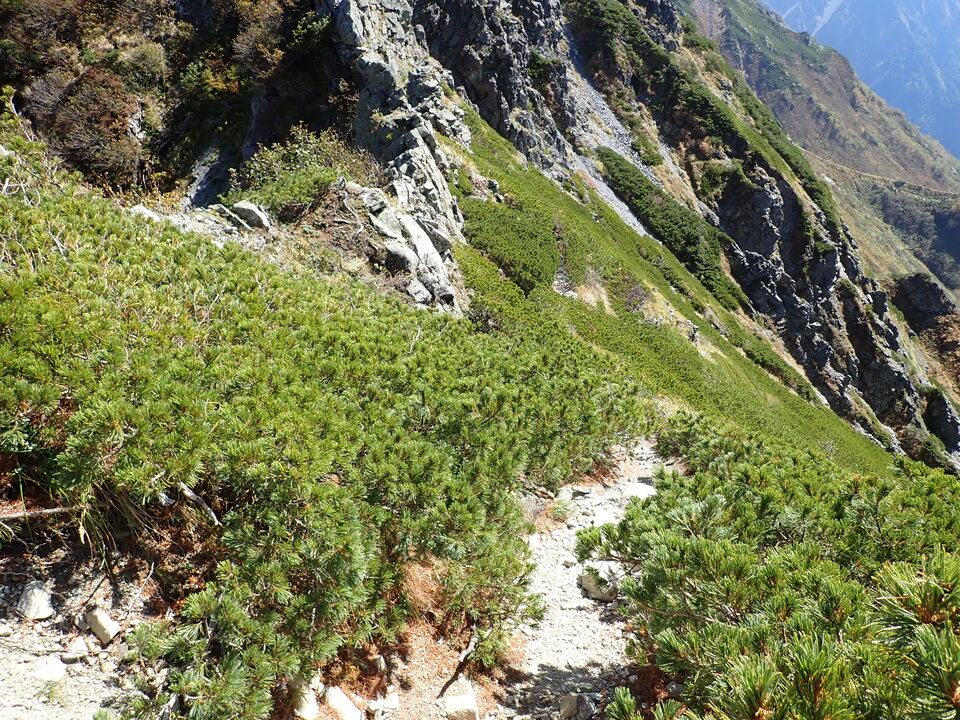 P9300838_mid.jpg