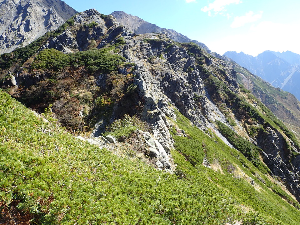 P9300839_mid.jpg