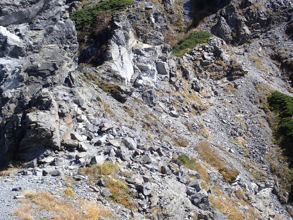 P9300851_mid.jpg