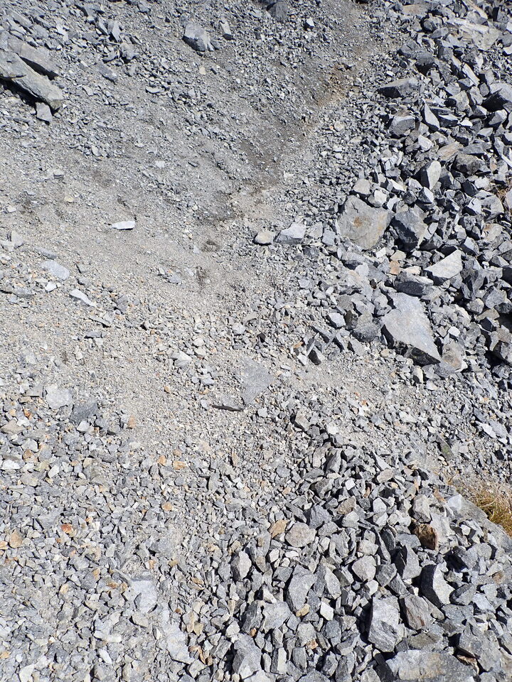 P9300858_mid.jpg