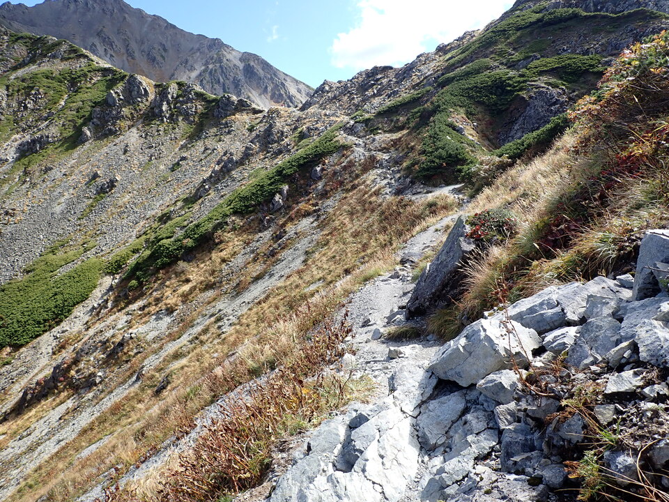 P9300874_mid.jpg