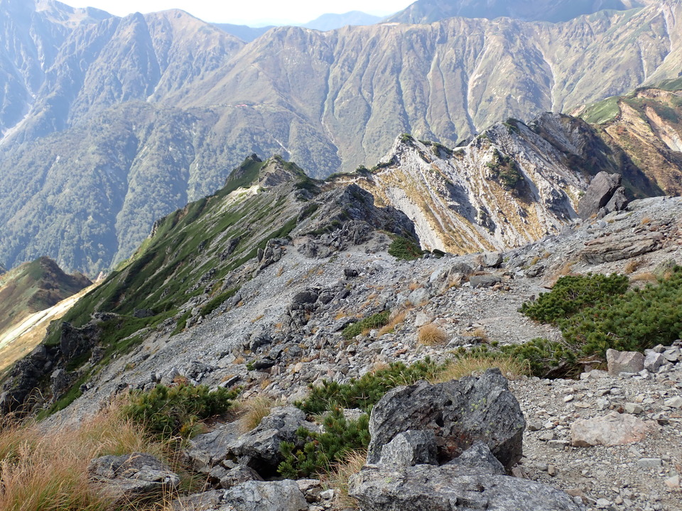 P9300924_mid.jpg