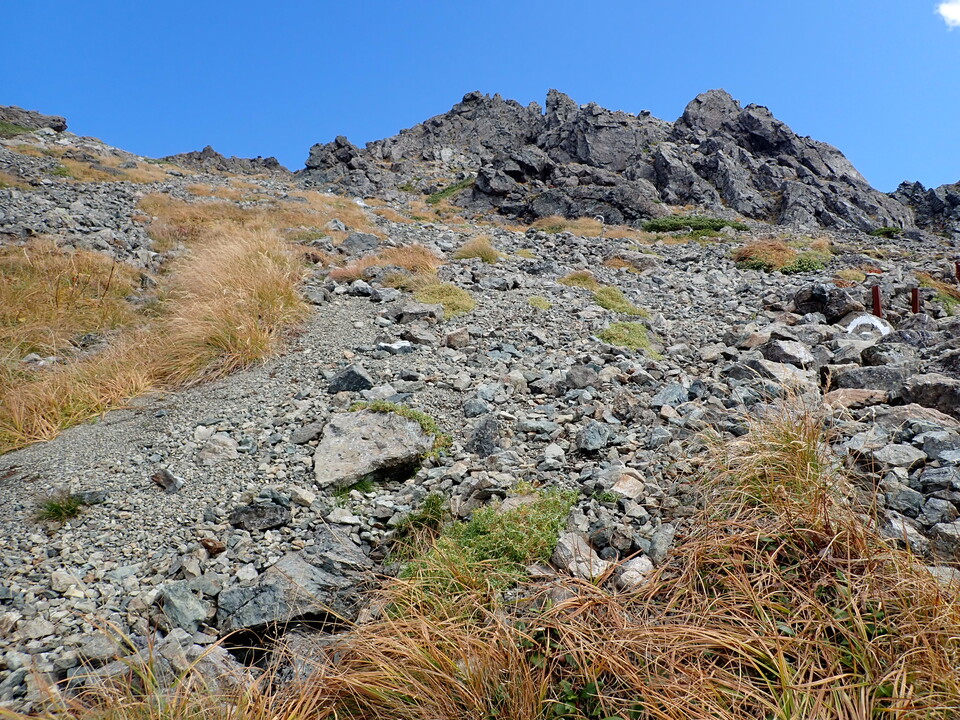 P9300940_mid.jpg