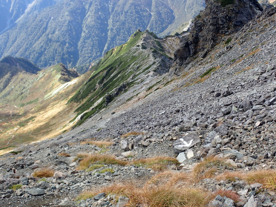 P9300943_mid.jpg