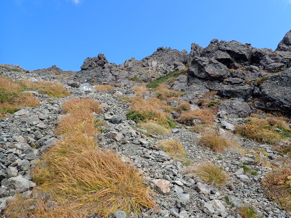 P9300945_mid.jpg