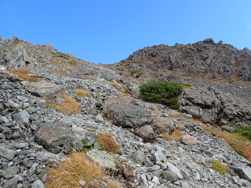 P9300953_mid.jpg
