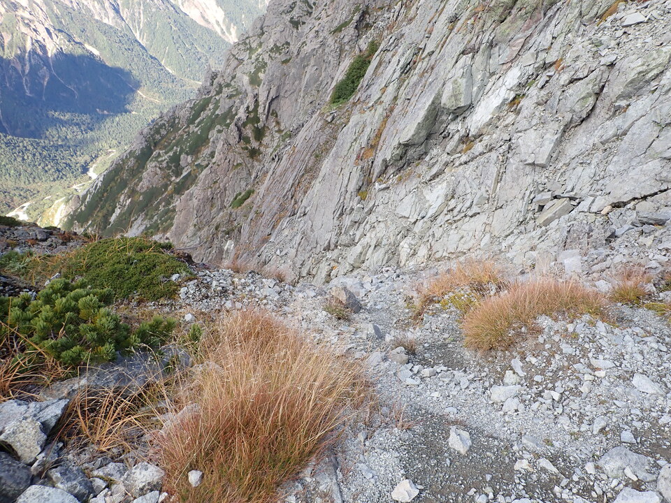 P9300959_mid.jpg