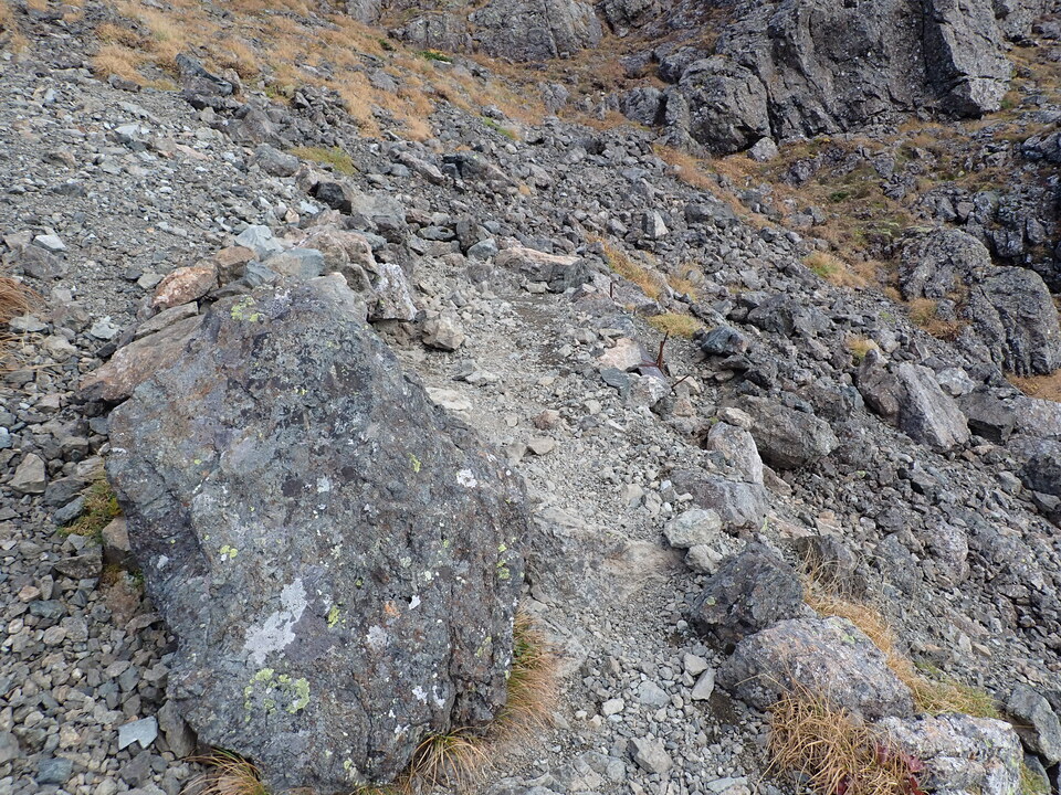 P9300962_mid.jpg
