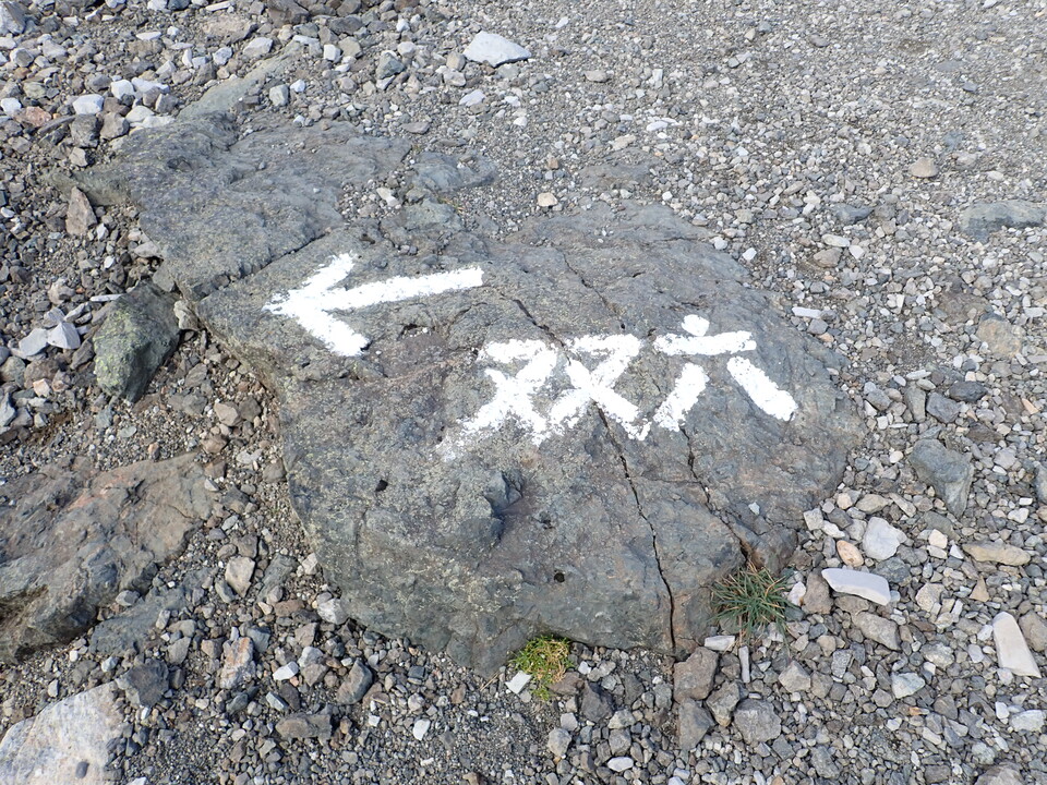 P9300974_mid.jpg