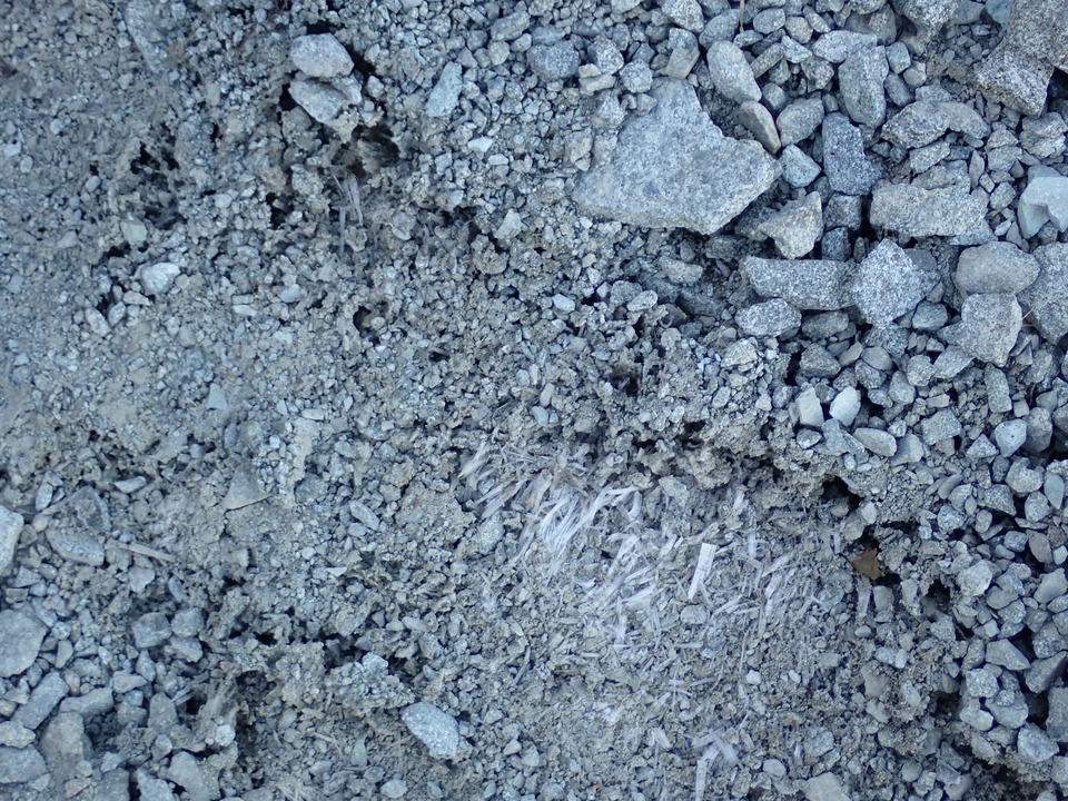 PA011082_mid.jpg