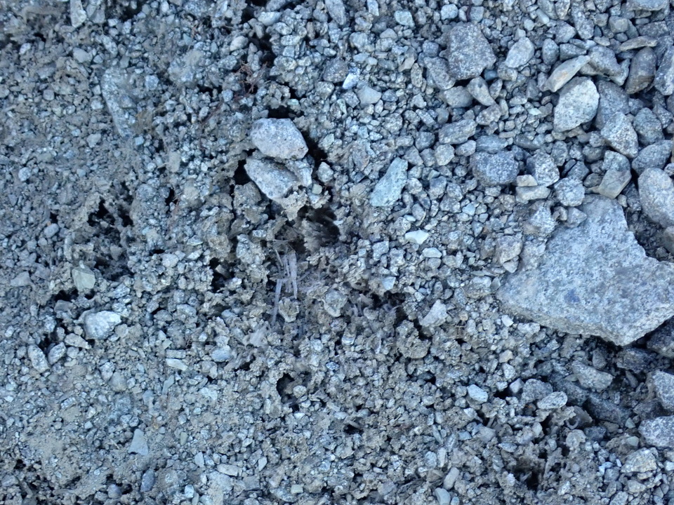 PA011083_mid.jpg