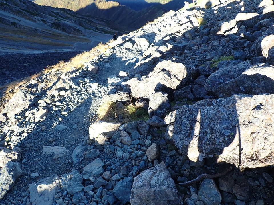 PA011144_mid.jpg
