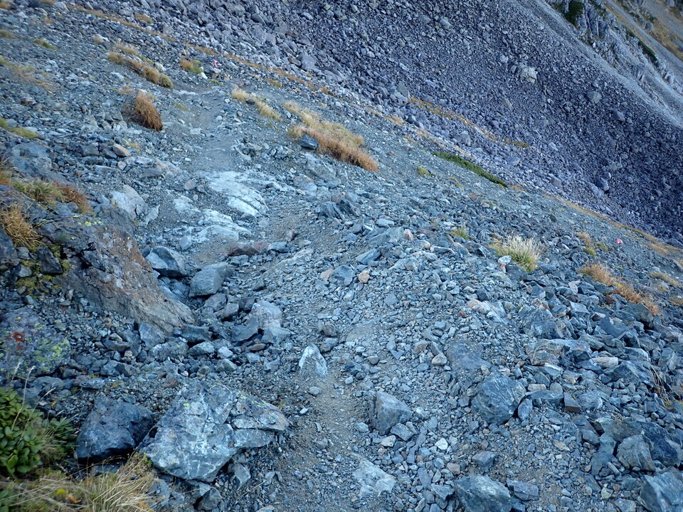 PA011146_mid.jpg
