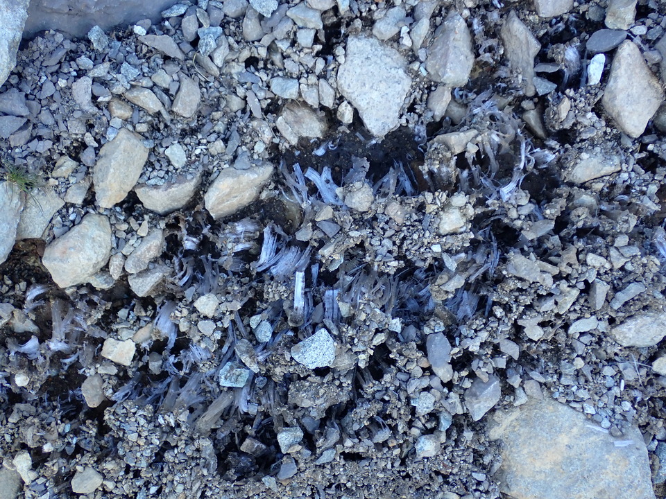 PA011149_mid.jpg