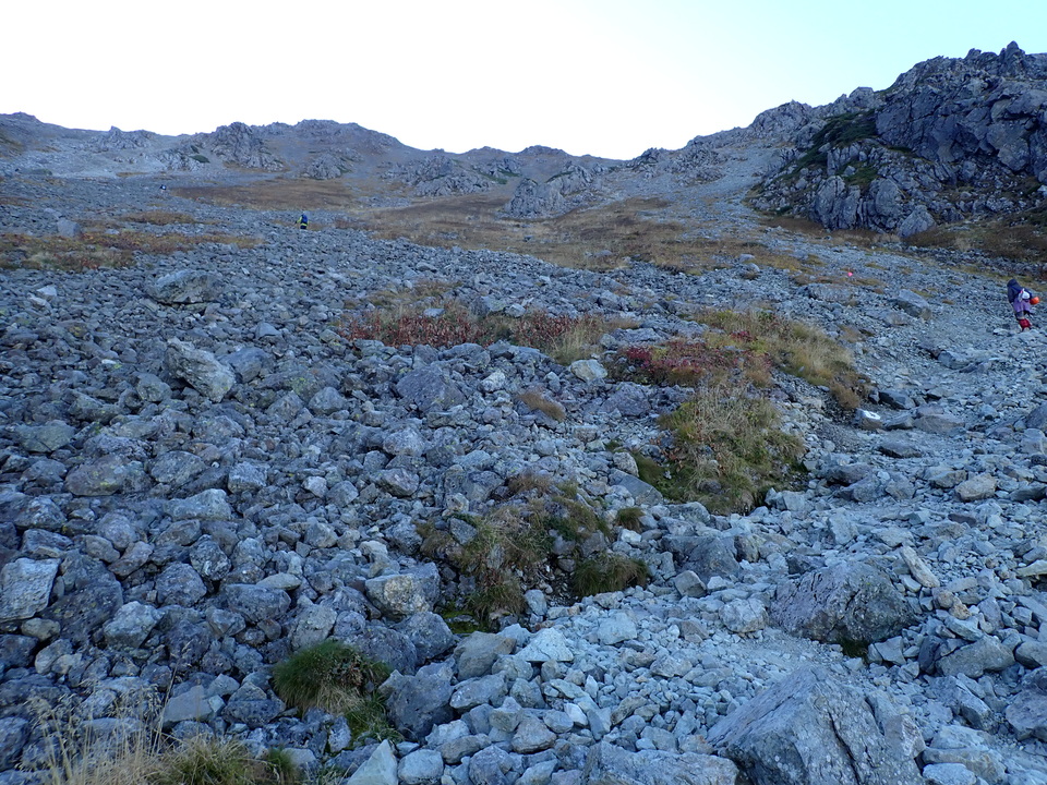 PA011160_mid.jpg