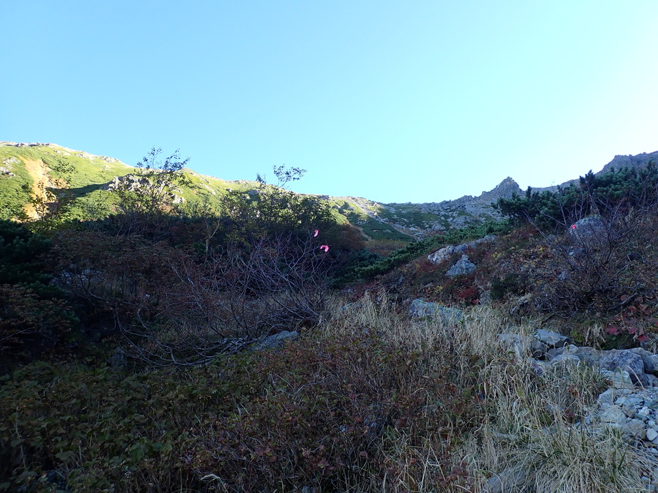 PA011164_mid.jpg