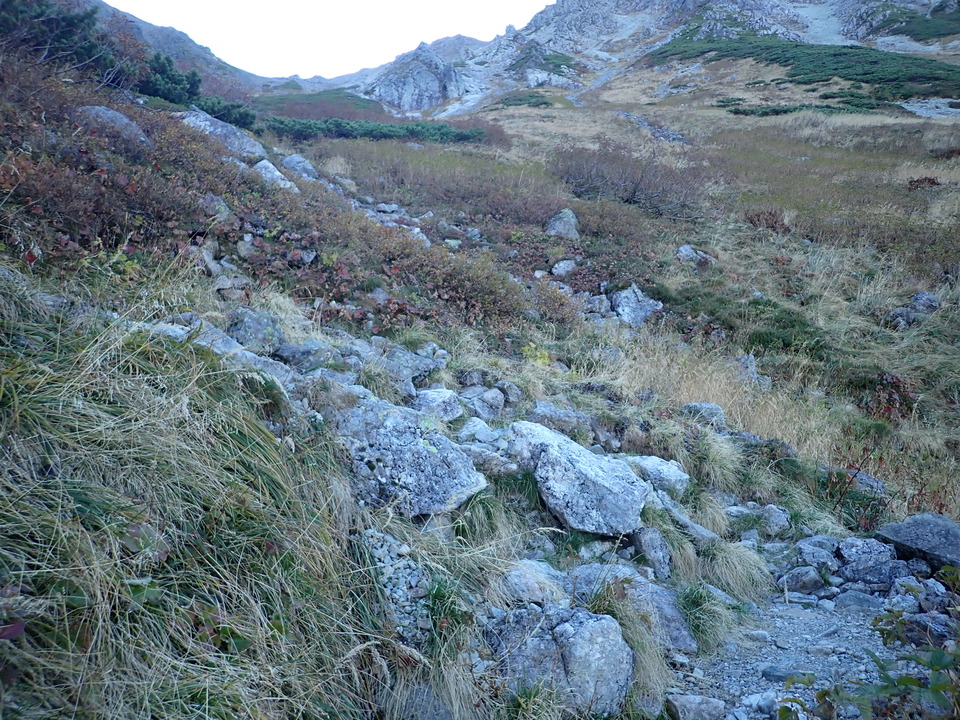 PA011165_mid.jpg