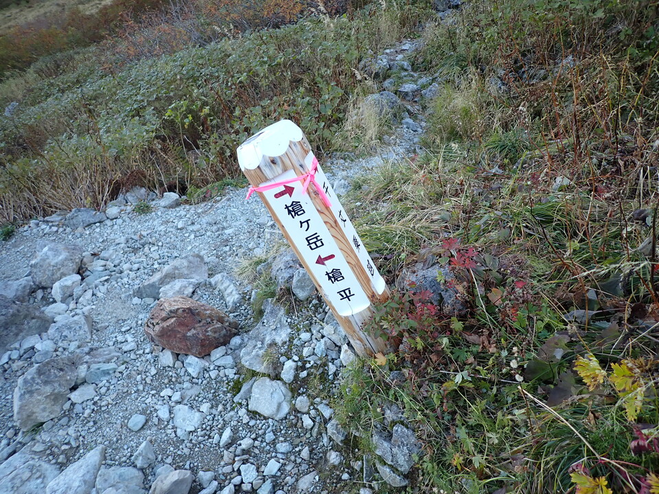 PA011166_mid.jpg