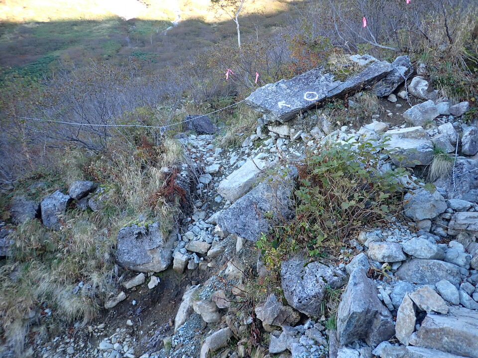 PA011175_mid.jpg