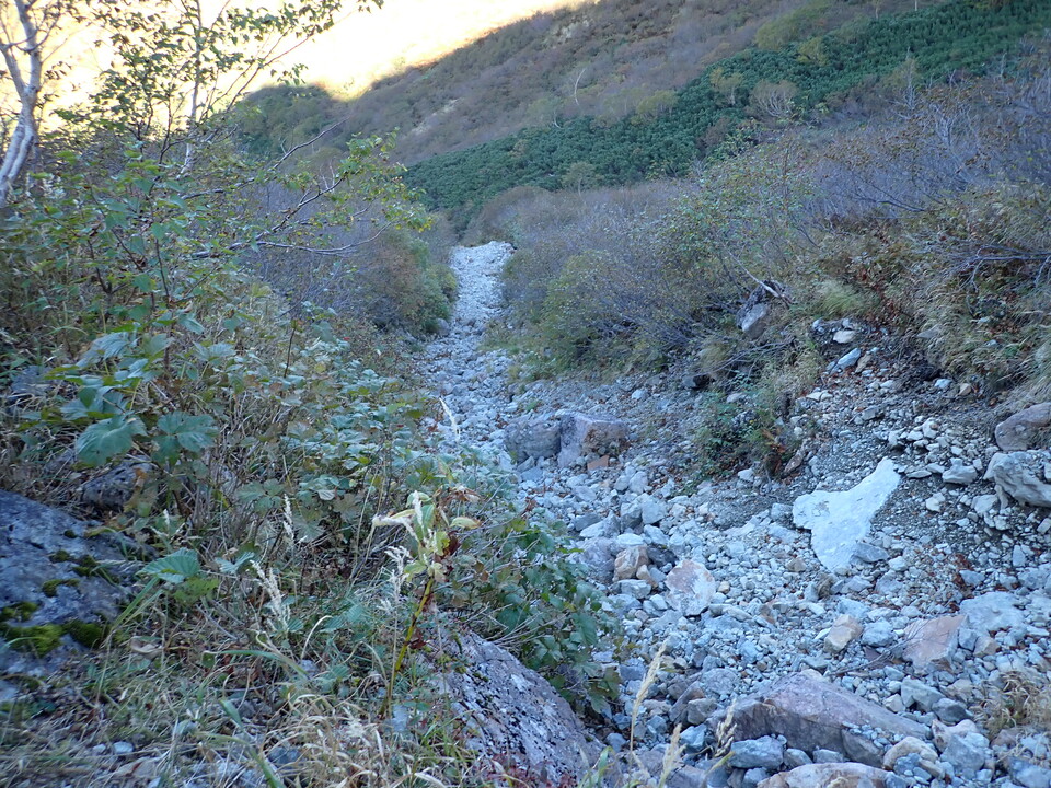 PA011177_mid.jpg