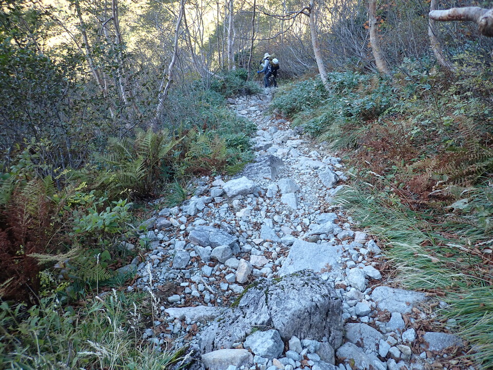 PA011179_mid.jpg