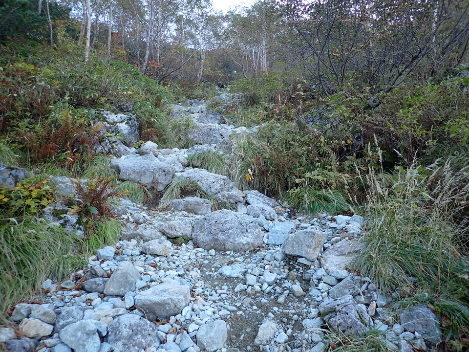 PA011180_mid.jpg