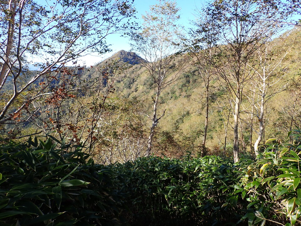 PA011183_mid.jpg