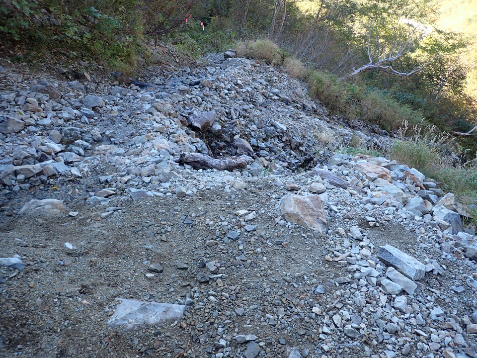 PA011184_mid.jpg
