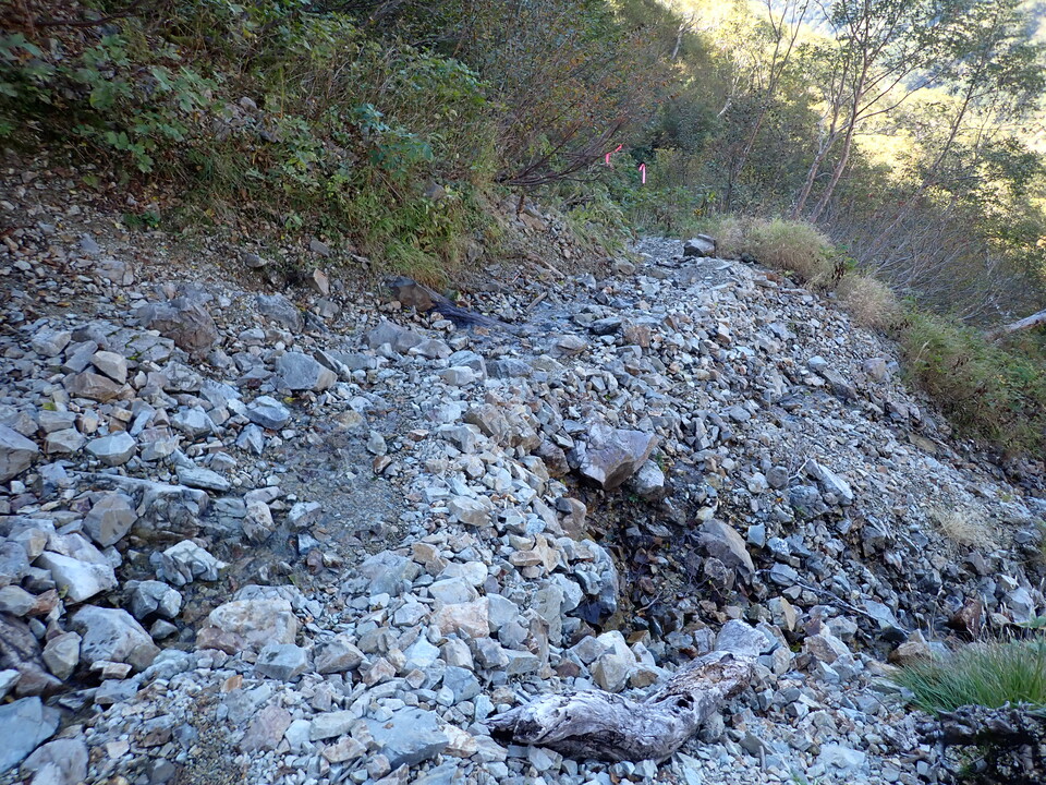 PA011186_mid.jpg