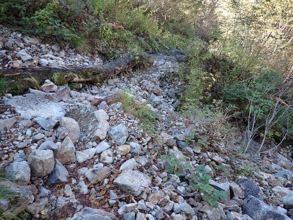 PA011191_mid.jpg