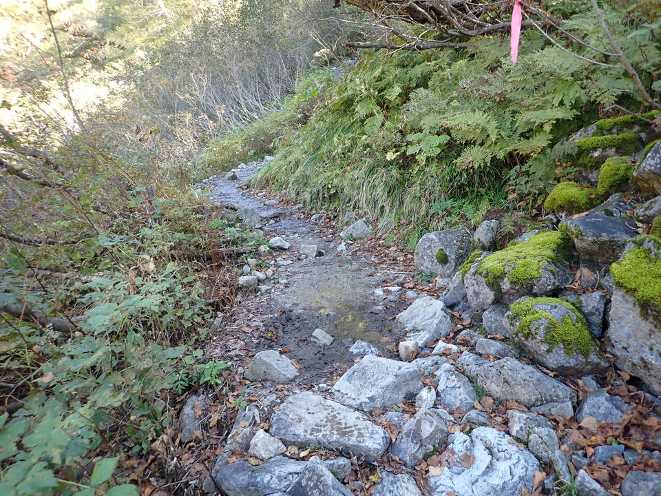 PA011194_mid.jpg