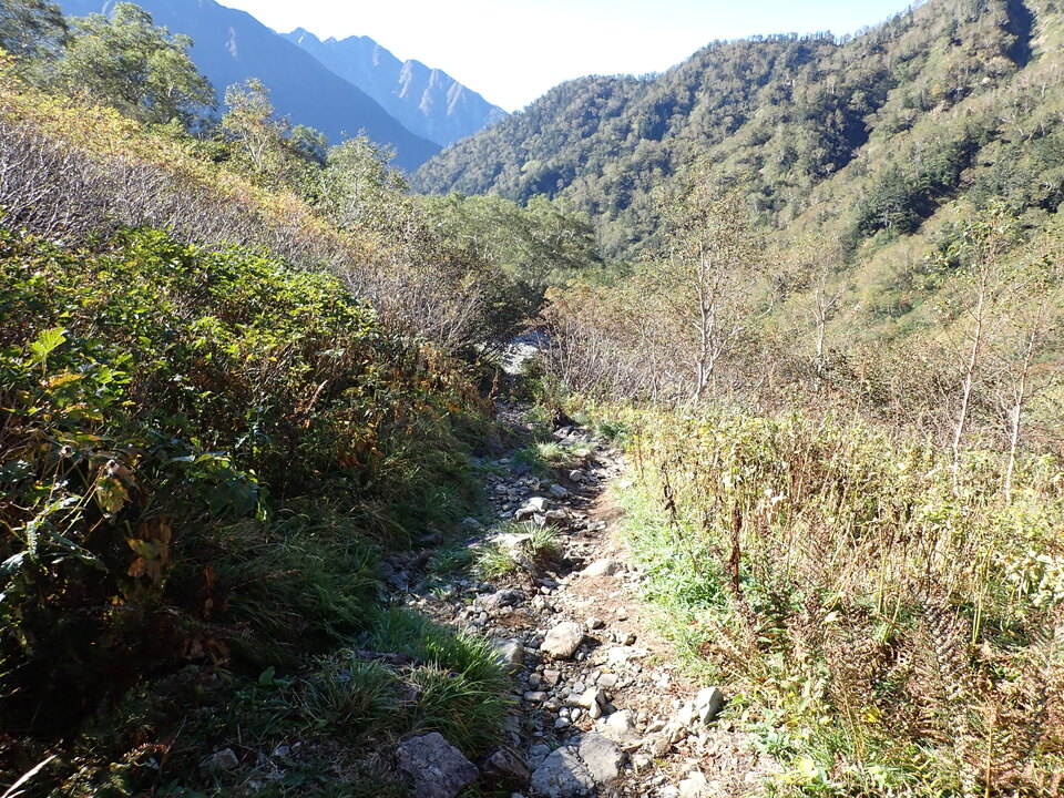 PA011195_mid.jpg