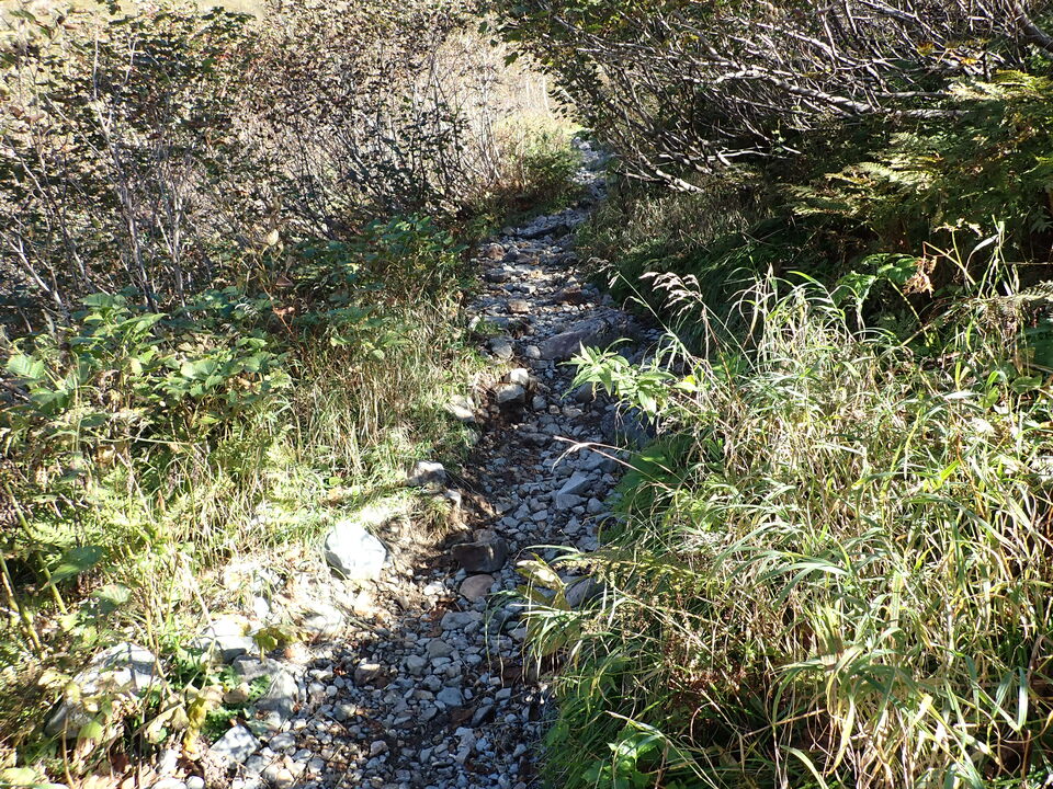 PA011199_mid.jpg