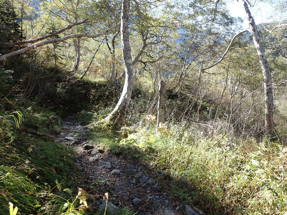 PA011202_mid.jpg