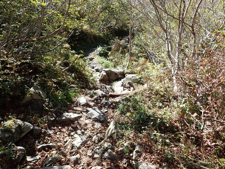 PA011211_mid.jpg