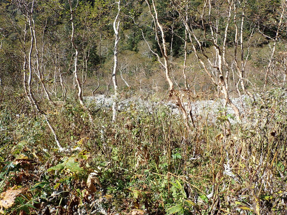 PA011214_mid.jpg