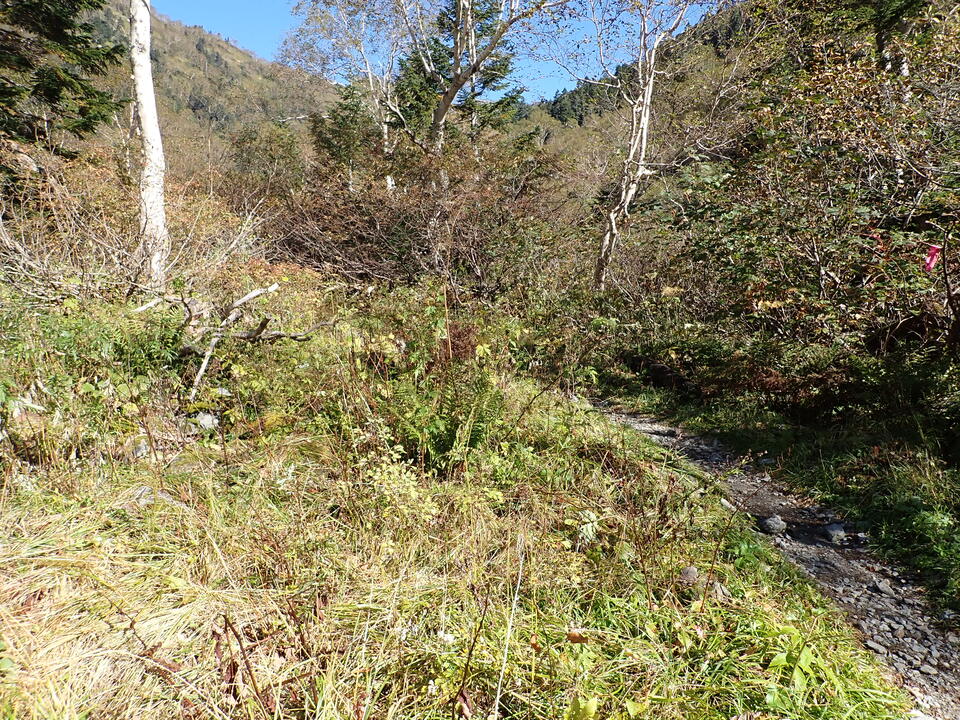 PA011221_mid.jpg