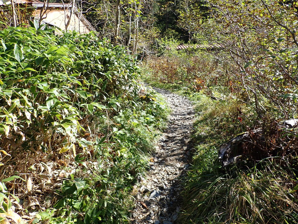 PA011234_mid.jpg