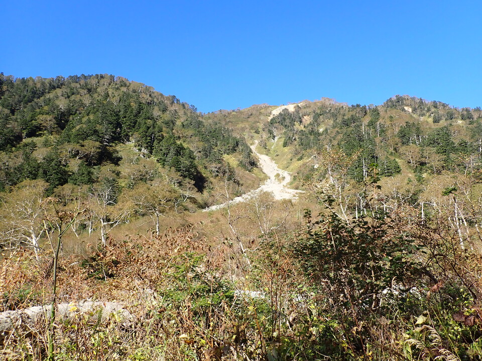 PA011235_mid.jpg