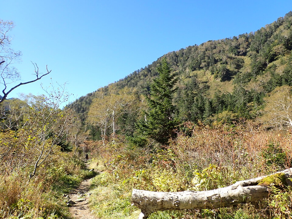 PA011236_mid.jpg