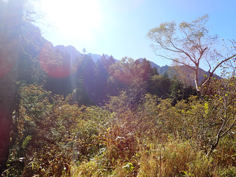 PA011237_mid.jpg