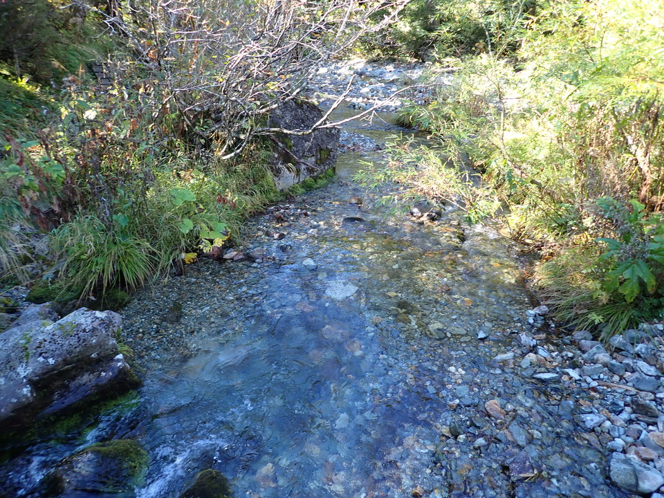 PA011242_mid.jpg