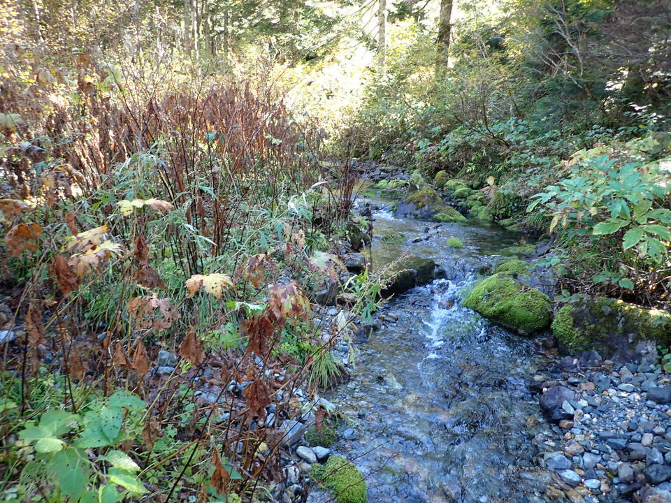 PA011243_mid.jpg