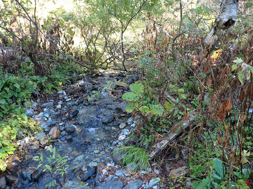 PA011244_mid.jpg