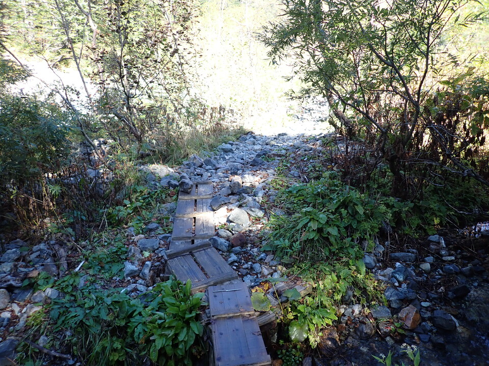 PA011245_mid.jpg