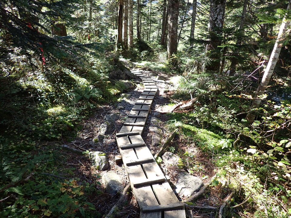 PA011247_mid.jpg