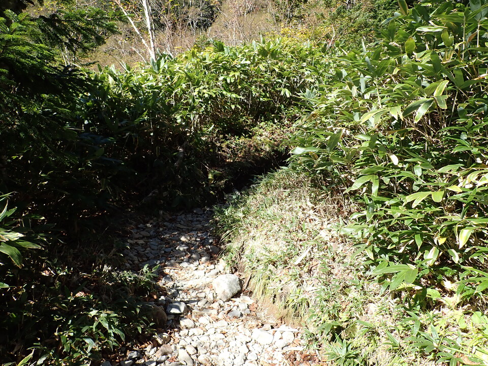 PA011250_mid.jpg