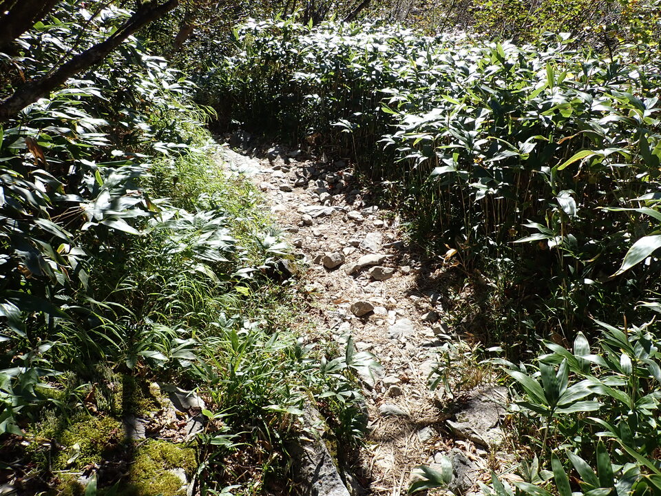 PA011252_mid.jpg