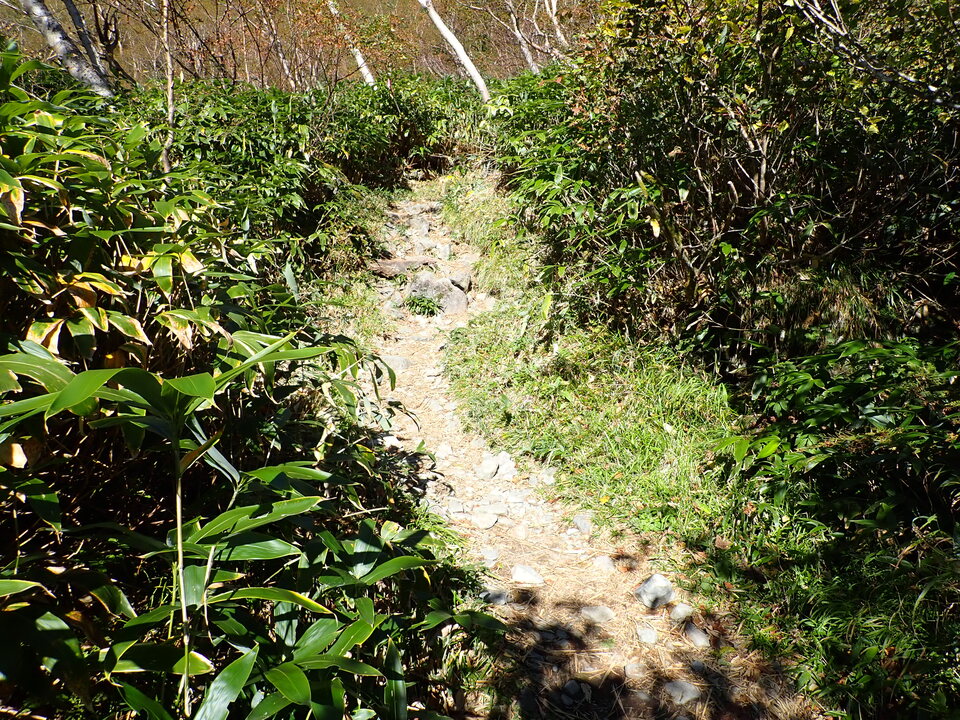 PA011253_mid.jpg