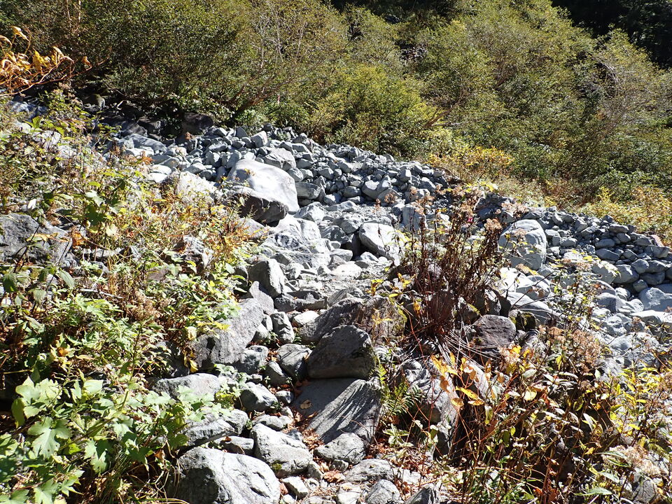 PA011256_mid.jpg